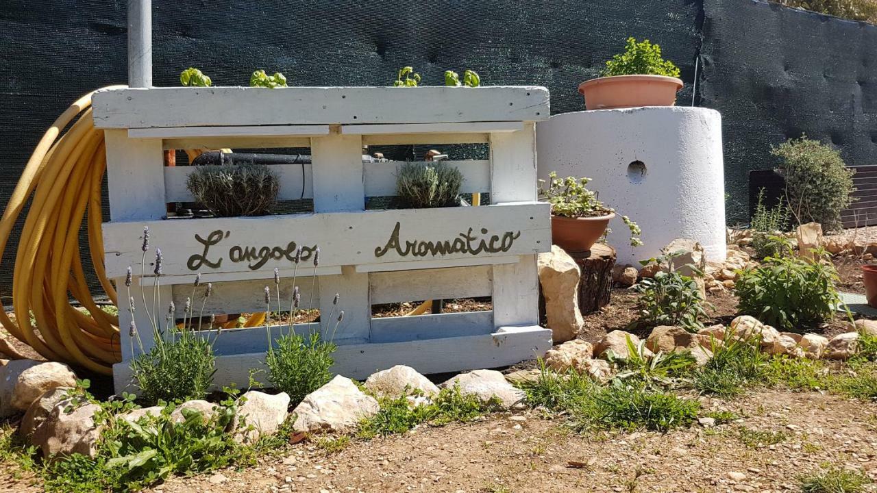 Guesthouse Pintadera Santa Maria la Palma Exterior foto